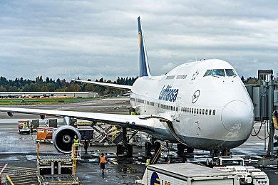 《怪物猎人：世界》Steam玩家持续增加 创三年内新高